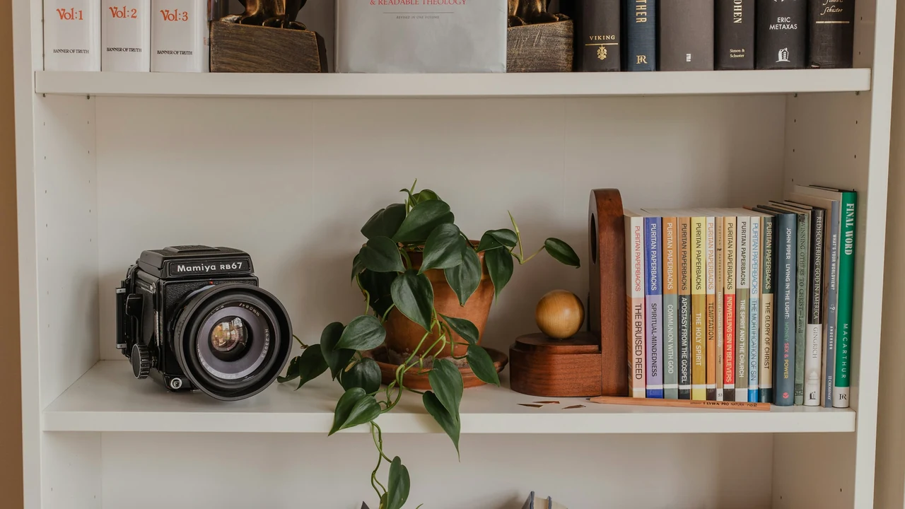 Books, a film camera, and a plant arranged on a library shelf.